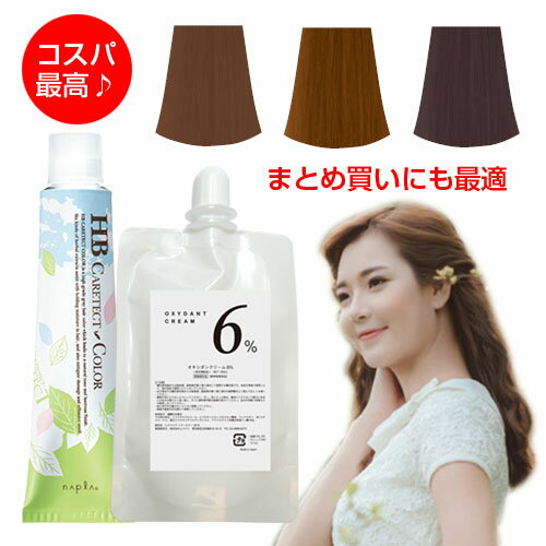 ケアテクトカラー オキシ 100ml セット 女性用 白髪染め ナプラ ブラウン アッシュ マット ベージュ 女性用 白髪用 ヘアカラー 剤 業務用