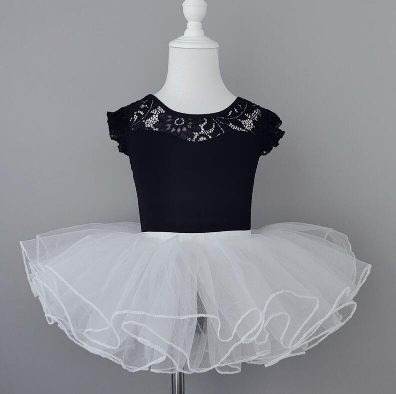 ̵ Х쥨 쥪 Ҷ ֥å  2å İ 졼  Ҷ   ȯɽ ХҶ Х쥨ȯɽ  ...