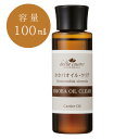 zzoIC 100ml