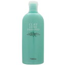 ビューティーエクスペリエンス クレイエステ シャンプー EX 330ml MOLTO BENE
