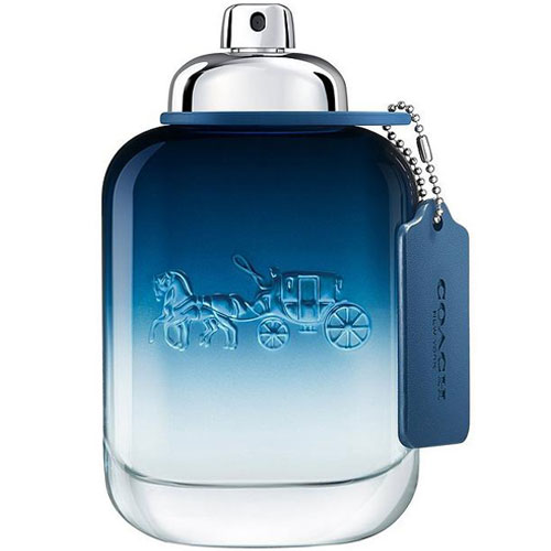 コーチ マン ブルー EDT オードトワレ SP 100ml 香水 COACH