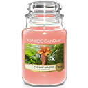 L[Lh W[L U Xg p_CX 623g YANKEE CANDLE