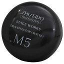 【2点までメール便可】 資生堂プロフェッショナル ステージワークス トゥルーエフェクター (マット) a 80g