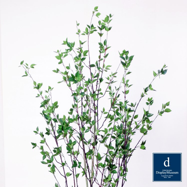 ���꡼�󥢥�󥸥��� (�ɥ�����)230cm�ò��ͥǥ����ץ쥤�ߥ塼������ FBCD-5008 �����ƥ��ե�����륰�꡼�� ���꡼�󥢥�󥸥��� �١����դ� �͹����տ�ʪ ȭ�դ����꡼�� ¤�� ������� ��� ���� ��� �������㥹 ��ӥ� ������ �ۡ���