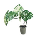 モンステラポット H110cm W75cm|GLA-1548GR アーティフィシャルグリーン 人工観葉植物 鉢付きグリーン 造花 おしゃれ 上質 上品 高級 ゴ...