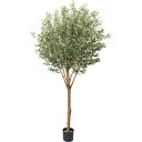 オリーブ 240cm|GLP-1489 アーティフィシャルグリーン 人工観葉植物 グリーン 造花 おしゃれ 上質 上品 高級 ゴージャス リビング サロン ホー...