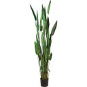 カンナ 200cm|GLP-1513 アーティフィシャルグリーン 人工観葉植物 グリーン 造花 おしゃれ 上質 上品 高級 ゴージャス リビング サロン ホール