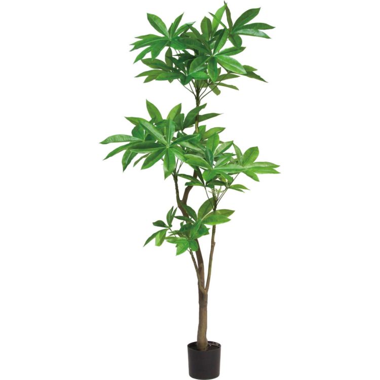 パキラ 180cm 人工観葉植物 横浜ディスプレイミュージアム Glp 1522 アーティフィシャルグリーン 人工観葉植物 花 観葉植物 鉢付きグリーン 造花 おしゃれ ゴージャス 上質 上品 高級 ゴージャス リビング サロン ホール ビザインショップ高品質 手間要らず 枯れない