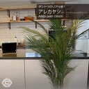 フェイクグリーン 大型 おしゃれ 観葉植物 フェイク リアル 造花 樹 木 グリーン ナチュラル ドウダンツツジ 182cm Bell tree 【大型宅配便】hnw1