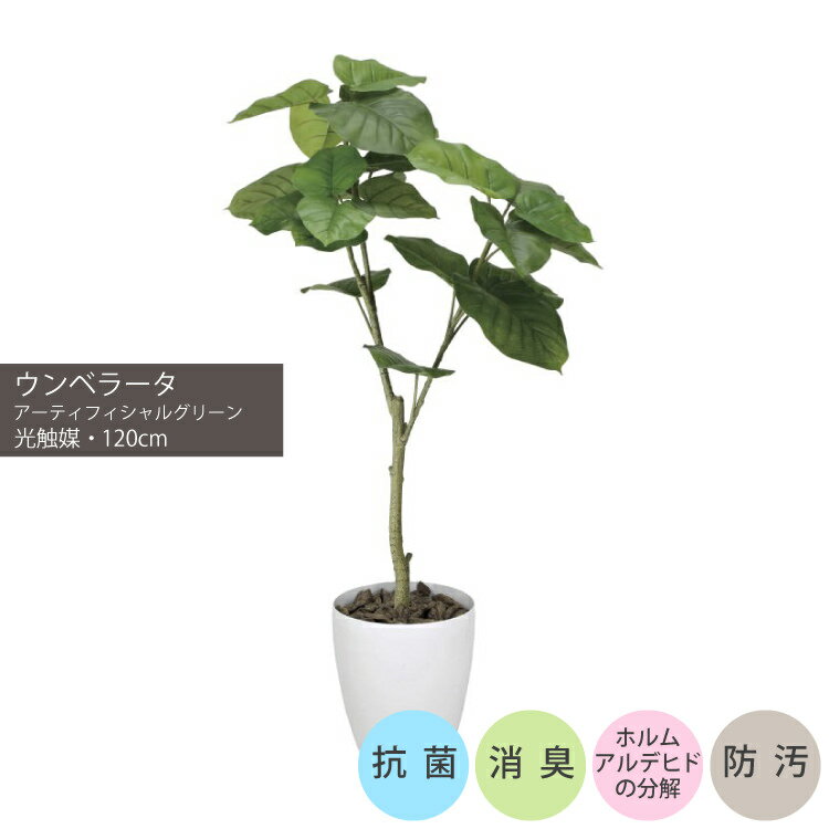 ウンベラータ1.2m｜GLPA-035 アーティフィシャルグリーン 人工観葉植物 鉢付きグリーン 可視光応答型光触媒「V-CAT Tree」造花 おしゃれ 上質 上品 高級 ゴージャス リビング サロン ホール