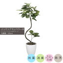 インテリアウンベラータ1.65m|GLPA-048 アーティフィシャルグリーン 人工観葉植物 鉢付きグリーン 可視光応答型光触媒「V-CAT Tree」 造花 ...