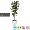 ベンジャミン1.8m|GLPA-051 アーティフィシャルグリーン 人工観葉植物 鉢付きグリーン 可視光応答型光触媒「V-CAT Tree」 造花 おしゃれ 上...