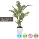 フレッシュパーム1.8m|GLPA-059 アーティフィシャルグリーン 人工観葉植物 鉢付きグリーン 可視光応答型光触媒「V-CAT Tree」 造花 おしゃれ...