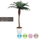 フェニックス 1.8m|GLPA-060 アーティフィシャルグリーン 人工観葉植物 鉢付きグリーン 可視光応答型光触媒「V-CAT Tree」 造花 おしゃれ ...