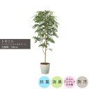 ショクバイトネリコ1.8m|GLPA-068 アーティフィシャルグリーン 人工観葉植物 鉢付きグリーン 造花 おしゃれ 上質 上品 高級 ゴージャス リビング ...