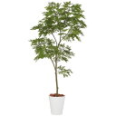 エバーフレッシュ1.5m|GLPT-204 アーティフィシャルグリーン 人工観葉植物 鉢付きグリーン 造花 おしゃれ 上質 上品 高級 ゴージャス リビング サ...