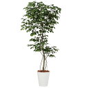 ベンジャミン1.5m|GLPT-207 アーティフィシャルグリーン 人工観葉植物 鉢付きグリーン 造花 おしゃれ 上質 上品 高級 ゴージャス リビング サロン ホール(4)