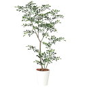 トネリコ1.5m|GLPT-218 アーティフィシャルグリーン 人工観葉植物 鉢付きグリーン 造花 おしゃれ 上質 上品 高級 ゴージャス リビング サロン ホ...