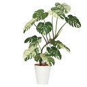 モンステラバリエガータ1.6m|GLPT-224 アーティフィシャルグリーン 人工観葉植物 鉢付きグリーン 造花 おしゃれ 上質 上品 高級 ゴージャス リビン...