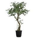 ガジュマルコアッド2.3m|GLPT-229 アーティフィシャルグリーン 人工観葉植物 鉢付きグリーン 造花 おしゃれ 上質 上品 高級 ゴージャス リビング ...