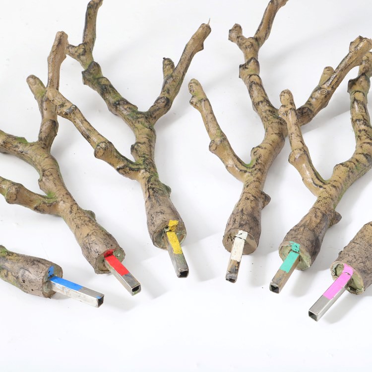 ������ޥ륳���å�2.3m��GLPT-229 �����ƥ��ե�����륰�꡼�� �͹����տ�ʪ ȭ�դ����꡼�� ¤�� ������� ��� ���� ��� �������㥹 ��ӥ� ������ �ۡ���