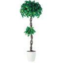 フィッカスベンジャミナダブル W65×H180cm|TK91236 アーティフィシャルグリーン 人工観葉植物 鉢付きグリーン 造花 おしゃれ 上質 上品 高級 ...