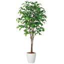 ベンジャミナスプラッシュトリプル W100×H200cm|TK91244 アーティフィシャルグリーン 人工観葉植物 鉢付きグリーン 造花 おしゃれ 上質 上品 ...