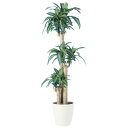 マッサンゲアナ W70×H170cm|TK91261 アーティフィシャルグリーン 人工観葉植物 鉢付きグリーン 造花 おしゃれ 上質 上品 高級 ゴージャス リ...
