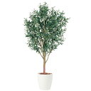 ライプオリーブ W80×H150cm|TK91394 アーティフィシャルグリーン 人工観葉植物 鉢付きグリーン 造花 おしゃれ 上質 上品 高級 ゴージャス リ...