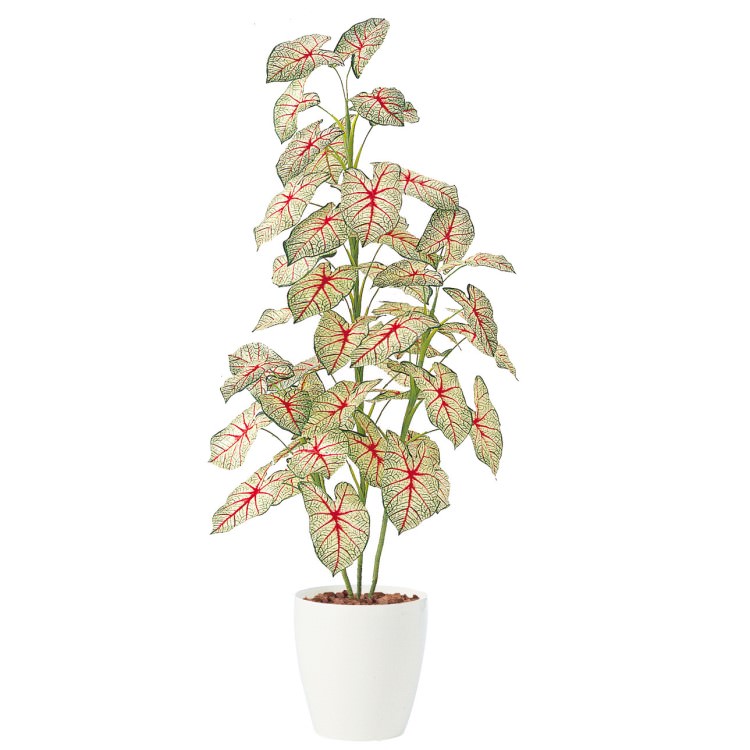 カラジウムトロピカーナ W70×H160cm｜TK91449 アーティフィシャルグリーン 人工観葉植物 鉢付きグリー..