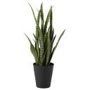サンスベリア グリーン W40×H80cm|TK91621 アーティフィシャルグリーン 人工観葉植物 鉢付きグリーン 造花 おしゃれ 上質 上品 高級 ゴージャ...
