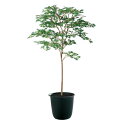 ヤマモミジ GREEN FST W110×H180cm|TK91759 アーティフィシャルグリーン 人工観葉植物 鉢付きグリーン 造花 おしゃれ 上質 上品 高...