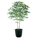 ヤマモミジ株立 GREEN FST W120×H180cm|TK91763 アーティフィシャルグリーン 人工観葉植物 鉢付きグリーン 造花 おしゃれ 上質 上品...