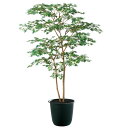 ヤマモミジ株立 GREEN FST W100×H150cm|TK91764 アーティフィシャルグリーン 人工観葉植物 鉢付きグリーン 造花 おしゃれ 上質 上品...