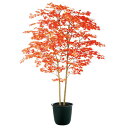 ヤマモミジ株立 RED FST W120×H180cm|TK91772 アーティフィシャルグリーン 人工観葉植物 鉢付きグリーン 造花 おしゃれ 上質 上品 高...