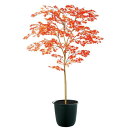 ヤマモミジ株立 RED FST W100×H150cm|TK91773 アーティフィシャルグリーン 人工観葉植物 鉢付きグリーン 造花 おしゃれ 上質 上品 高...