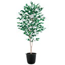 ハナミズキ W80×H180cm|TK91781 アーティフィシャルグリーン 人工観葉植物 鉢付きグリーン 造花 おしゃれ 上質 上品 高級 ゴージャス リビン...