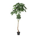 ブラッサイア W100×H200cm|TK91847 アーティフィシャルグリーン 人工観葉植物 グリーン 造花 おしゃれ 上質 上品 高級 ゴージャス リビング...