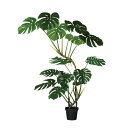 ワイルドモンステラ W100×H150cm|TK91868 アーティフィシャルグリーン 人工観葉植物 グリーン 造花 おしゃれ 上質 上品 高級 ゴージャス リ...