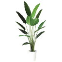 オーガスタ W90×H190cm|TK91873 アーティフィシャルグリーン 人工観葉植物 鉢付きグリーン 造花 おしゃれ 上質 上品 高級 ゴージャス リビン...
