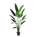 オーガスタ W90×H180cm|TK91874 アーティフィシャルグリーン 人工観葉植物 グリーン 造花 おしゃれ 上質 上品 高級 ゴージャス リビング サ...