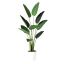 オーガスタ W70×H150cm|TK91876 アーティフィシャルグリーン 人工観葉植物 鉢付きグリーン 造花 おしゃれ 上質 上品 高級 ゴージャス リビン...