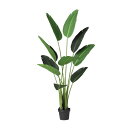 オーガスタ W70×H140cm|TK91877 アーティフィシャルグリーン 人工観葉植物 グリーン 造花 おしゃれ 上質 上品 高級 ゴージャス リビング サ...