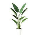 オーガスタ W50×H120cm|TK91879 アーティフィシャルグリーン 人工観葉植物 鉢付きグリーン 造花 おしゃれ 上質 上品 高級 ゴージャス リビン...