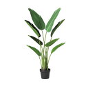 オーガスタ W50×H110cm|TK91880 アーティフィシャルグリーン 人工観葉植物 グリーン 造花 おしゃれ 上質 上品 高級 ゴージャス リビング サ...