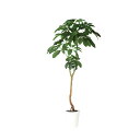 ブラッサイア W80×H170cm|TK91883 アーティフィシャルグリーン 人工観葉植物 鉢付きグリーン 造花 おしゃれ 上質 上品 高級 ゴージャス リビ...