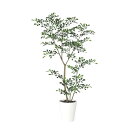 トネリコ FST W60×H120cm|TK91886 アーティフィシャルグリーン 人工観葉植物 鉢付きグリーン 造花 おしゃれ 上質 上品 高級 ゴージャス ...