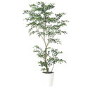 トネリコ FST W70×H150cm|TK91887 アーティフィシャルグリーン 人工観葉植物 鉢付きグリーン 造花 おしゃれ 上質 上品 高級 ゴージャス ...