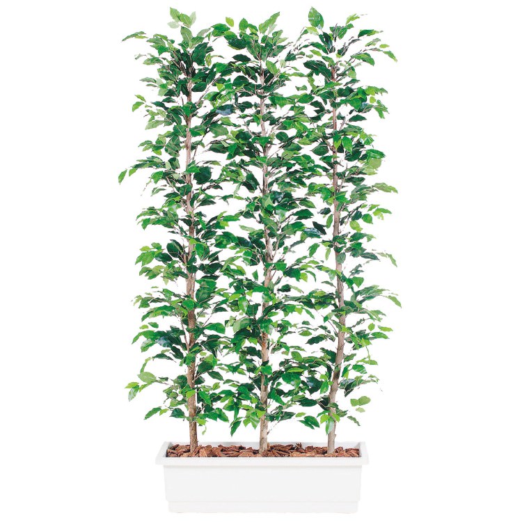 フィッカスベンジャミナパーテーション W100×D50×H150cm｜TK96360 アーティフィシャルグリーン 人工観葉植物 鉢付きグリーン 造花 おしゃれ 上質 上品 高級 ゴージャス リビング サロン ホール