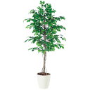 フィッカスベンジャミナ W90×H200cm|TK98517 アーティフィシャルグリーン 人工観葉植物 鉢付きグリーン 造花 おしゃれ 上質 上品 高級 ゴージ...